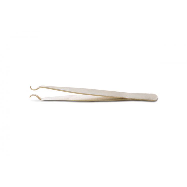 BRUCELLE A DESSOUDER