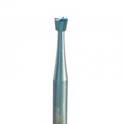 NIQUA - FRAISES CONE RENVERSE (24)