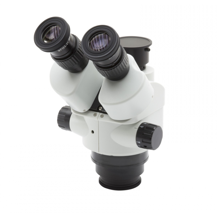 TRINOCULAIRE SLX-T / TETE SEULE