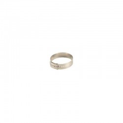 CALIBRE AUX BRACELETS RUBAN METAL