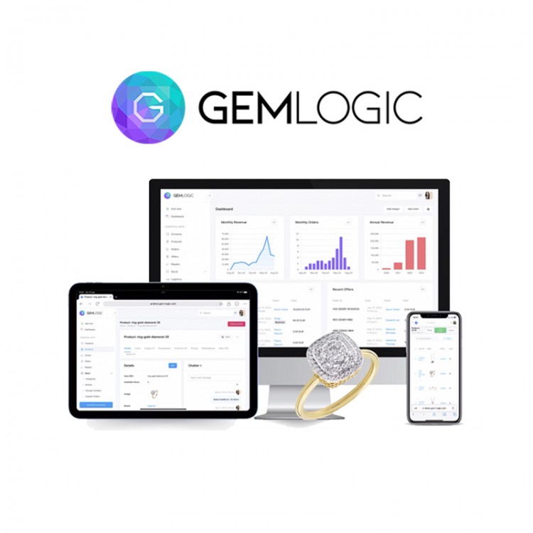 ABONNEMENT MENSUEL GemLogic - UN MAGASIN/ATELIER -