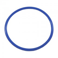 JOINT O-RING POUR CHAMBRE / INDUTHERM TYPE VC- Ø169MM (175MM x 7MM)