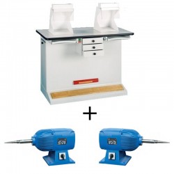 TABLE A POLIR 2 POSTES + MOTEURS