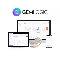 ABONNEMENT MENSUEL GemLogic - UN MAGASIN/ATELIER -