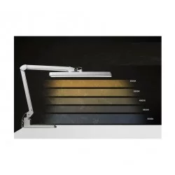 LAMPE D'ETABLI ET DE GEMMOLOGIE GEMAX PRO-II AVEC VARIATEUR DE COULEURS