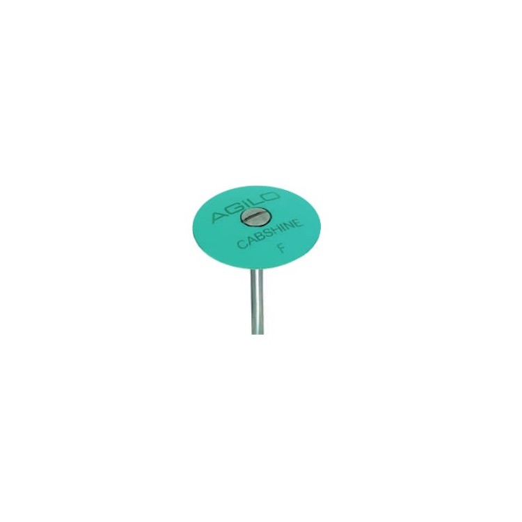 LENTILLE CABSHINE Ø22MM GRAIN FIN - POLISSAGE DES PIERRES LENTILLE CABSHINE Ø22MM GRAIN FIN - POLISSAGE DES PIERRES