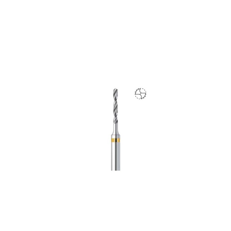 BUSCH - FORET CARBURE (4203S) BUSCH - FORET CARBURE (4203S)