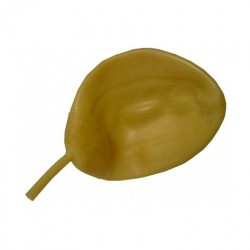 Pédalier complet REDA + vessie + pédalier + tuyau + T de connexion + chalumeau