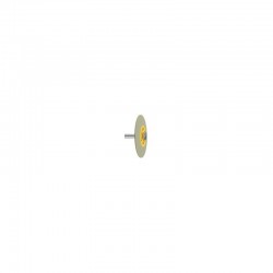 POLISSOIR STARGLOSS LENTILLE GRIS POLISSAGE LUSTRE